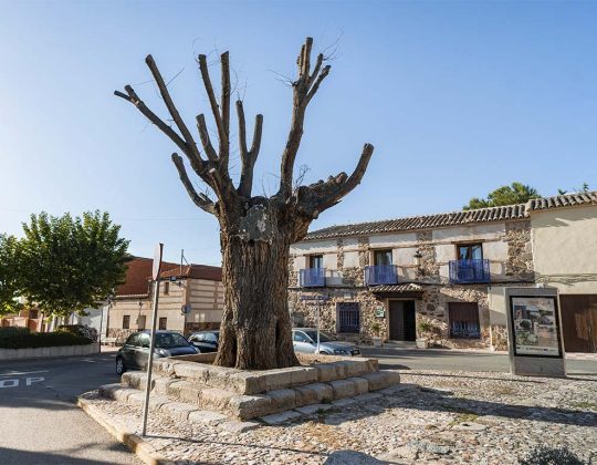 Álamo Grande: Una encantadora casa rural cerca de Toledo y Puy Du Fou España