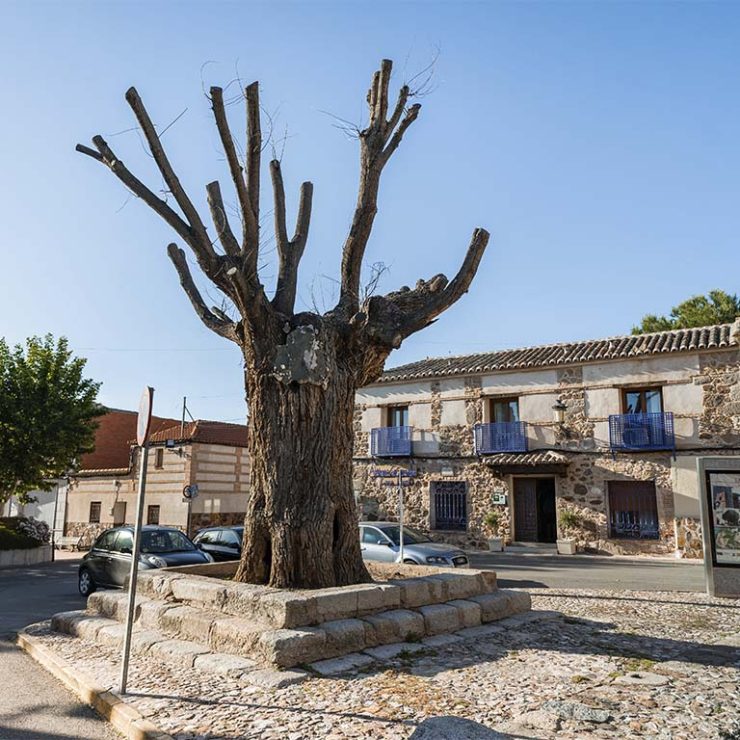 Álamo Grande: Una encantadora casa rural cerca de Toledo y Puy Du Fou España